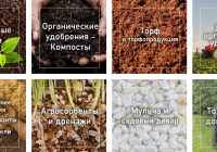 Органические удобрения: виды, применение и эффективность