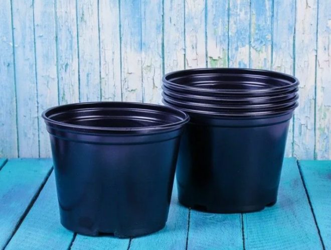 Горшки для рассады: советы по выбору и использованию