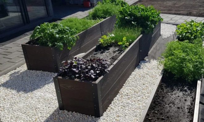 Как сделать грядки из террасной доски своими руками и не пожалеть